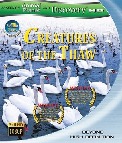 2009动物星球之惊奇之岛
