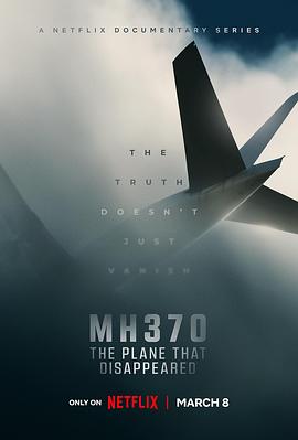 MH370·消失的航班